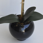 Arranjo De Orquídea Tigre De Silicone No Vaso Preto | Formosi